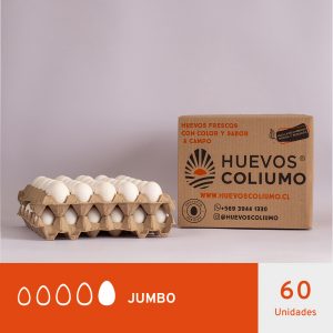 HUEVOS JUMBO BLANCO 60 UNIDADES