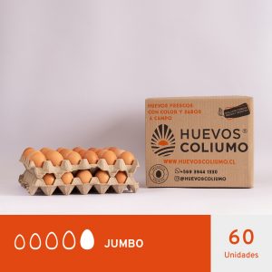 HUEVOS JUMBO COLOR 60 UNIDADES