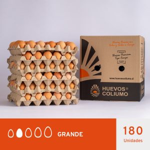 Huevos a domicilio a Valparaíso, Viña del Mar, Cerrillos, Cerro Navia, Conchalí, El Bosque, Estación Central, Huechuraba, Independencia, La Cisterna, La Florida, La Granja, La Pintana, La Reina, Las Condes, Lo Barnechea, Lo Espejo, Lo Prado, Macul, Maipú, Ñuñoa, Pedro Aguirre Cerda, Peñalolén, Providencia, Pudahuel, Puente Alto, Quilicura, Quinta Normal, Recoleta, Rengo, San Bernarndo, San Joaquín, San Miguel, San Ramón, Santiago, Chicureo, Colina y Vitacura. Chillán y San Carlos. Talca. Concepción, Chiguayante, Hualpén, Penco, San Pedro de la Paz (hasta Lomas Coloradas), Talcahuano (hasta puente Perales) y Tomé. Puerto Varas y Llanquihue. Huevos Baratos Huevos ofertas