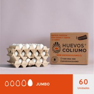 HUEVOS JUMBO BLANCO </br>60 UNIDADES