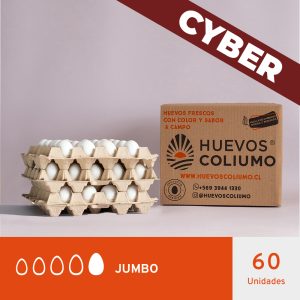 Huevos Jumbo Blanco </br>60 Unidades