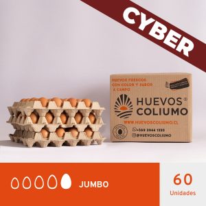 Huevos Jumbo Color </br>60 Unidades